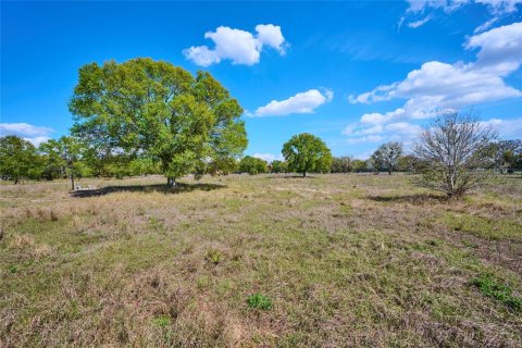 Terreno en venta en Lake Wales, Florida № 1561028 - foto 6