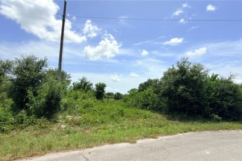 Land in Lehigh Acres, Florida № 2209871