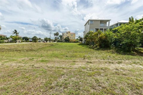 Terreno en venta en Apollo Beach, Florida № 1917463 - foto 6