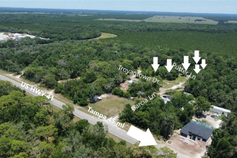 Land in Spring Hill, Florida № 1884171 - photo 5