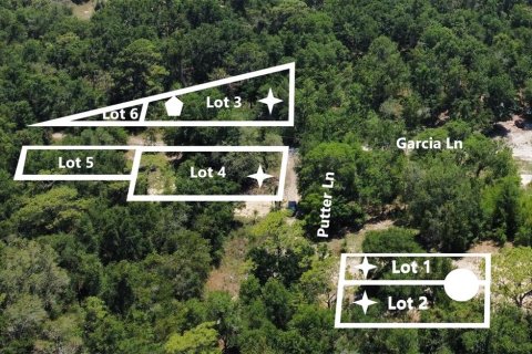 Land in Spring Hill, Florida № 1884171 - photo 7