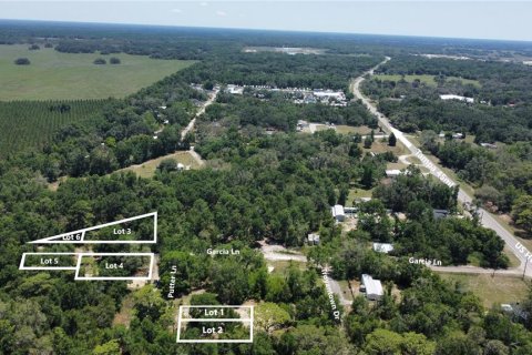 Land in Spring Hill, Florida № 1884171 - photo 6