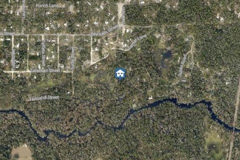 Land in Dade City, Florida № 2235060 - photo 3