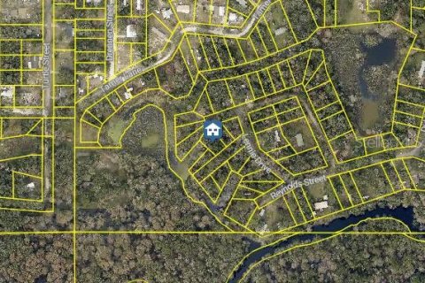 Land in Dade City, Florida № 2235060 - photo 2
