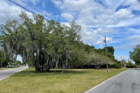 Land in Tavares, Florida № 2280187