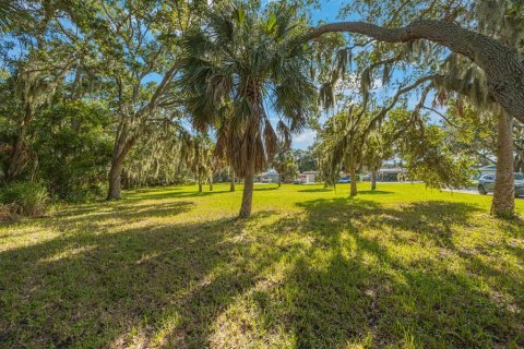 Land in Largo, Florida № 1343363 - photo 9