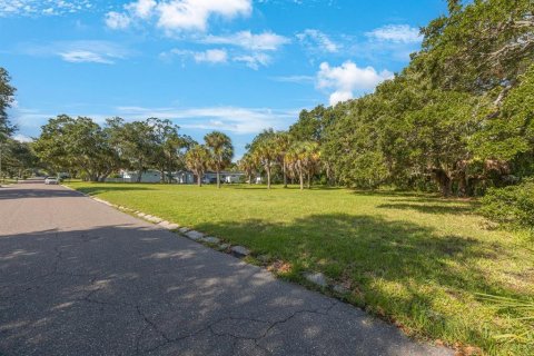Land in Largo, Florida № 1343363 - photo 5