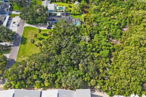 Land in Largo, Florida № 1343363 - photo 29