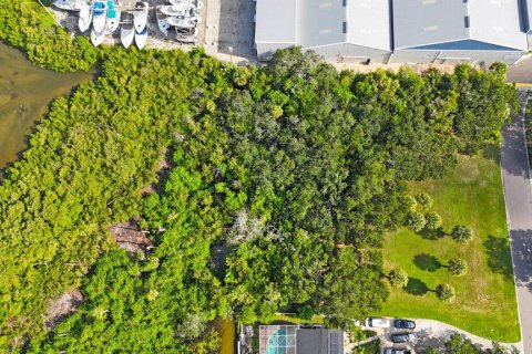 Land in Largo, Florida № 1343363 - photo 25