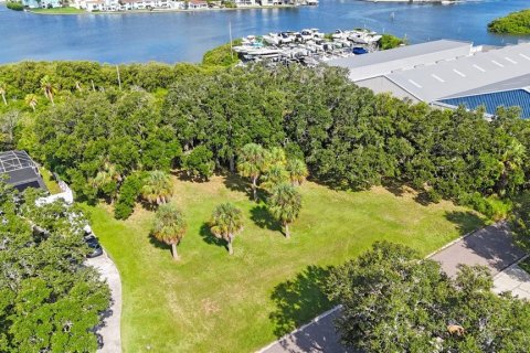 Land in Largo, Florida № 1343363 - photo 13