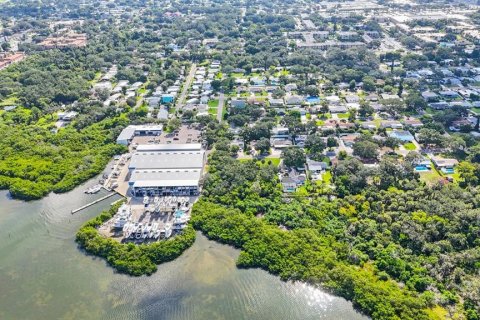 Land in Largo, Florida № 1343363 - photo 27