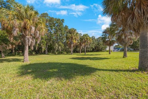 Land in Largo, Florida № 1343363 - photo 8
