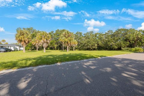 Land in Largo, Florida № 1343363 - photo 4