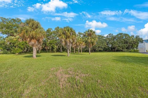 Land in Largo, Florida № 1343363 - photo 7
