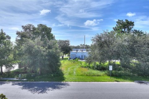 Land in Kissimmee, Florida № 2308921