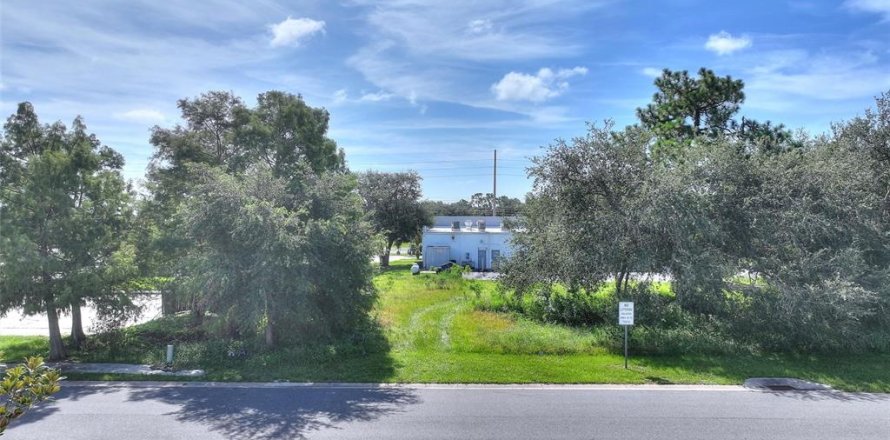 Terreno en Kissimmee, Florida № 2308921