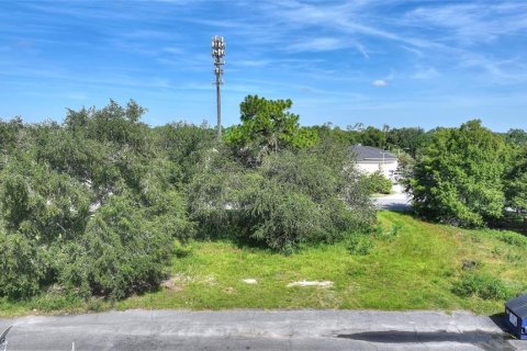 Terreno en venta en Kissimmee, Florida № 2308921 - foto 4