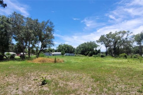 Terreno en venta en Arcadia, Florida № 2156488 - foto 7