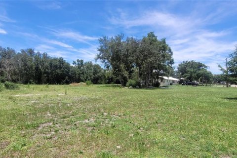 Terreno en venta en Arcadia, Florida № 2156488 - foto 4