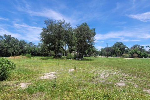 Terreno en venta en Arcadia, Florida № 2156488 - foto 5