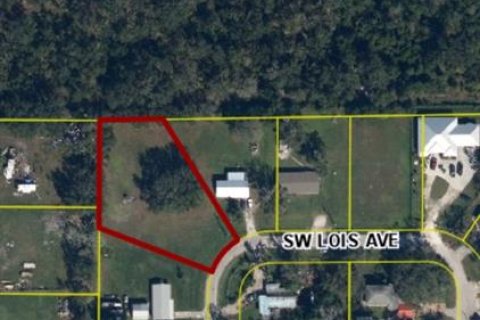 Terreno en venta en Arcadia, Florida № 2156488 - foto 3