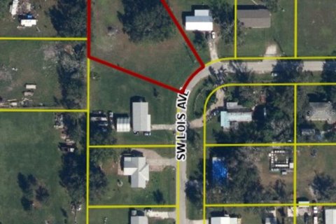 Terreno en venta en Arcadia, Florida № 2156488 - foto 2