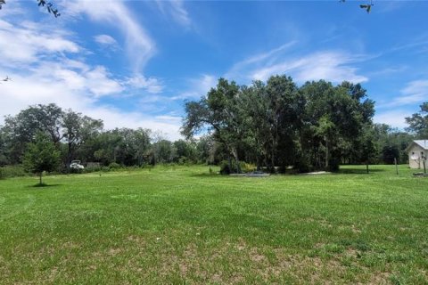 Terreno en venta en Arcadia, Florida № 2156488 - foto 8
