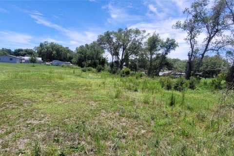 Terreno en venta en Arcadia, Florida № 2156488 - foto 6