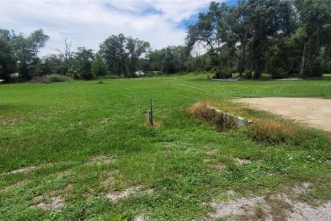Terreno en venta en Arcadia, Florida № 2156488 - foto 10