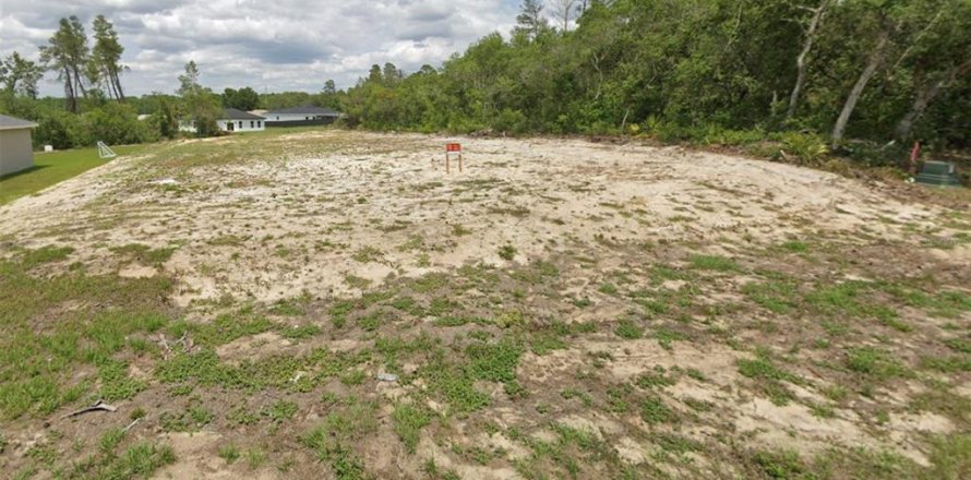 Terrain à Ocala, Floride № 1917468