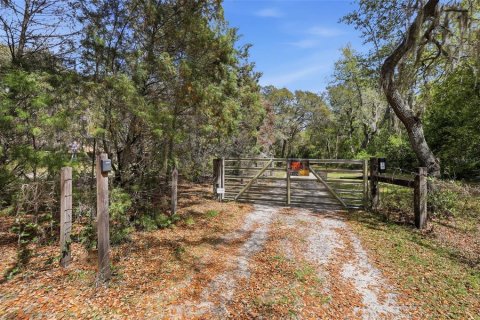 Terreno en venta en DeLand, Florida № 2201185 - foto 15
