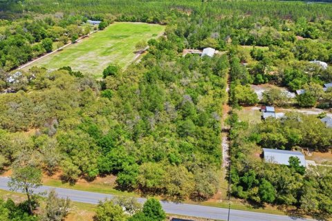 Terreno en venta en DeLand, Florida № 2201185 - foto 18