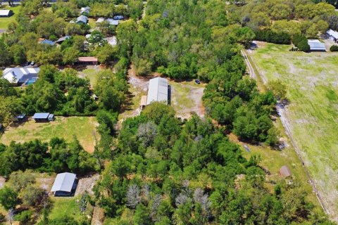 Terreno en venta en DeLand, Florida № 2201185 - foto 5