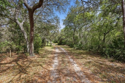 Terreno en venta en DeLand, Florida № 2201185 - foto 16
