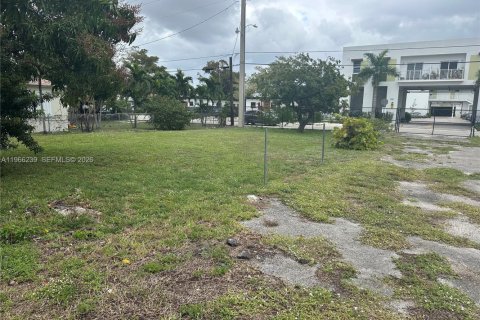 Land in Hallandale Beach, Florida № 2029633
