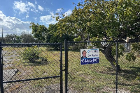 Land in Hallandale Beach, Florida № 2029633 - photo 3