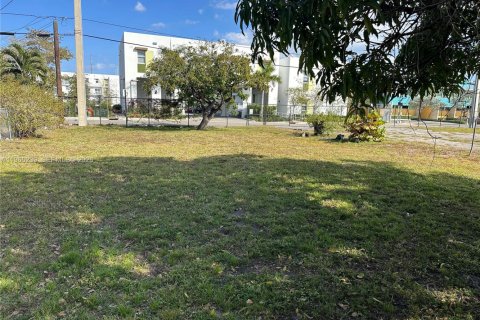 Land in Hallandale Beach, Florida № 2029633 - photo 6