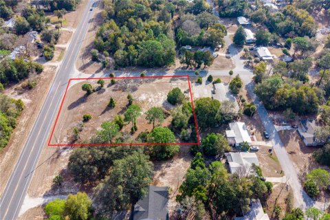 Land in Williston, Florida № 2102899 - photo 7
