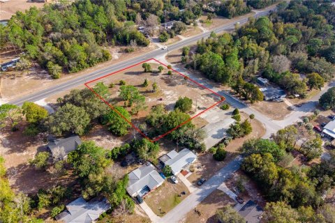 Land in Williston, Florida № 2102899 - photo 5
