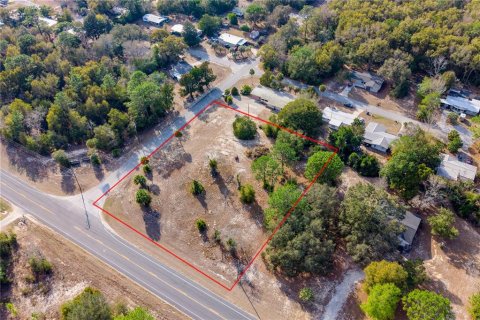 Land in Williston, Florida № 2102899 - photo 3