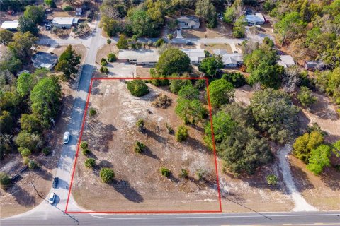 Land in Williston, Florida № 2102899 - photo 2