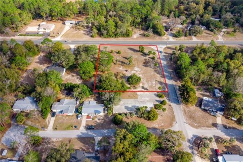 Land in Williston, Florida № 2102899 - photo 4