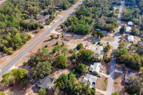 Land in Williston, Florida № 2102899 - photo 6