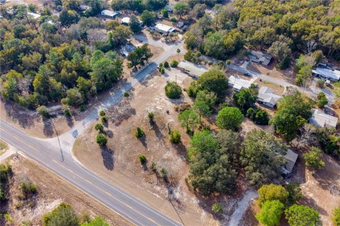 Land in Williston, Florida № 2102899 - photo 9