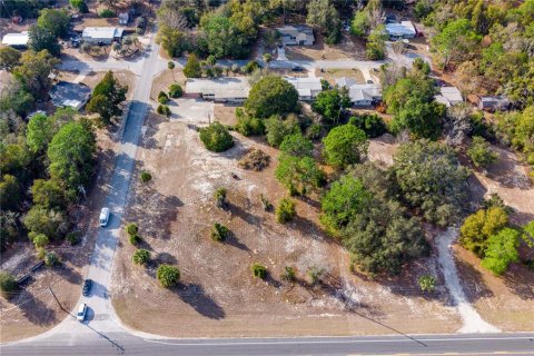 Land in Williston, Florida № 2102899 - photo 10