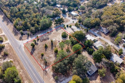 Land in Williston, Florida № 2102899 - photo 8