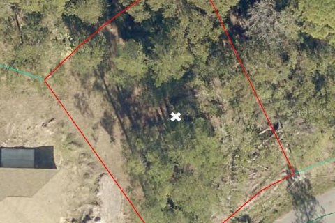Land in Ocala, Florida № 2206366