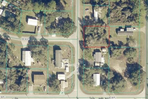 Land in Ocklawaha, Florida № 2162832