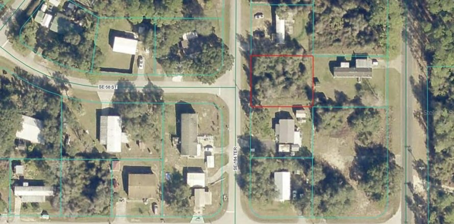 Land in Ocklawaha, Florida № 2162832