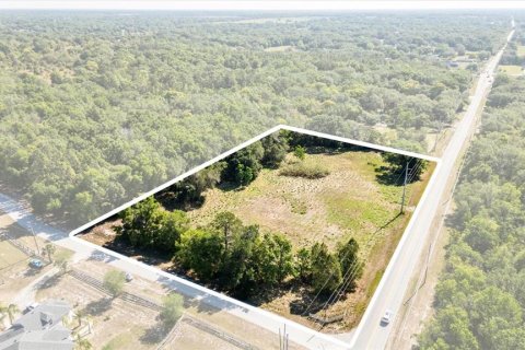Land in Mount Dora, Florida № 1642750 - photo 5